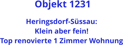 Objekt 1231  Heringsdorf-Süssau: Klein aber fein! Top renovierte 1 Zimmer Wohnung