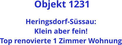 Objekt 1231  Heringsdorf-Süssau: Klein aber fein! Top renovierte 1 Zimmer Wohnung
